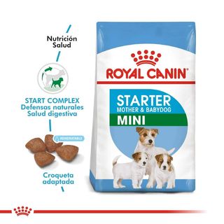 ROYAL CANIN MINI STARTER 1KG