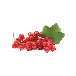 Ribizla Crvena 125g