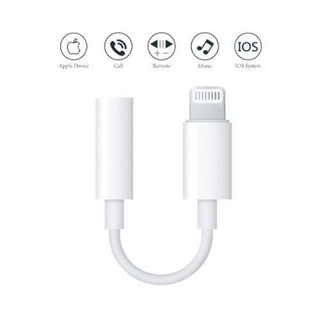 Cable Adaptateur Audio Iphone