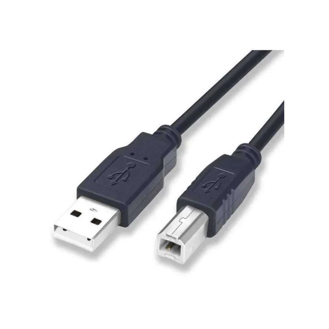 Câbles Vidéo et Réseau.