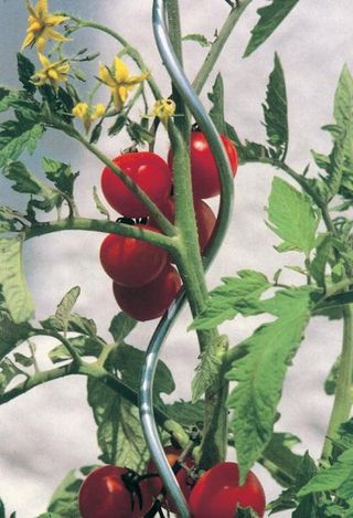 Žica za paradajz 180cm pocincana