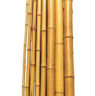 Bambus pritka 210cm fi 22-24mm Biacchi