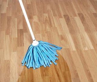 Džoger sa teleskopskom drškom