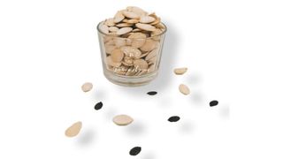 Graines Blanches Grillée Salée