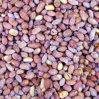 Cacahuètes Salées