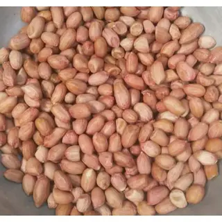 Cacahuètes Sans Sel