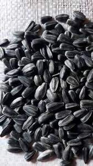 Pépites De Tournesol Salées