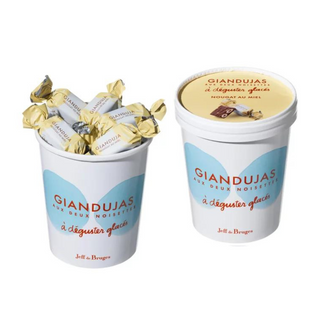Pot Giandujas Glacés Chocolat Au Lait Et Nougat Au Miel