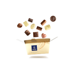 Ballotin Assortiment Chocolat - 375g