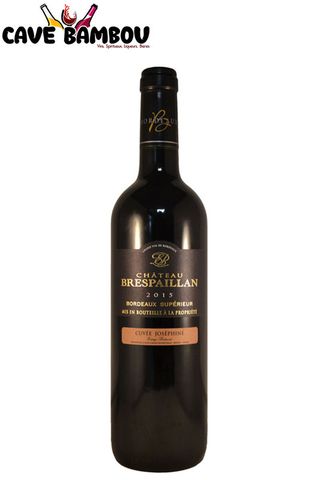 Vinr Chateau Brespaillan