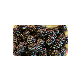 Jeżyna 250g