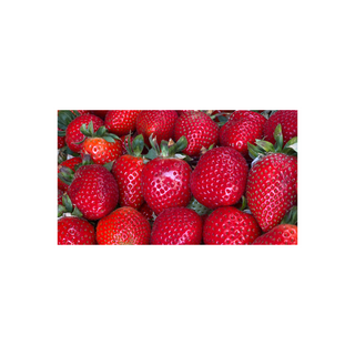 Truskawka Słodka Deserowa 500g