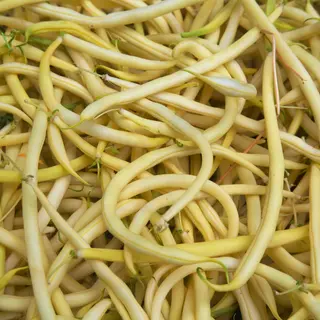 Fasolka Szparagowa Żółta 500g