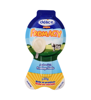 Fromage fondu Fromagy MILKANA DELICE 20g