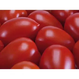 Rosii prunisoare / Kg