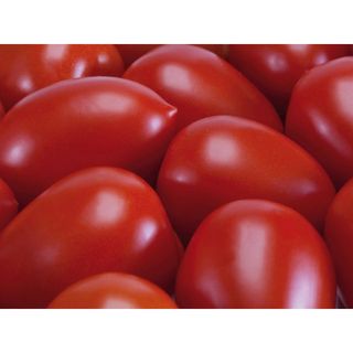 Rosii prunisoare / Kg