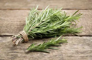 Rosemary
