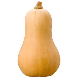 Abóbora Butternut