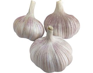 Alho Seco – Aprox. 100g