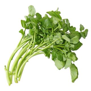 Agriao 1 Molho (molho 575g)