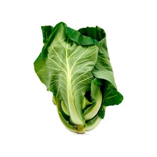 Couve Portuguesa – Un