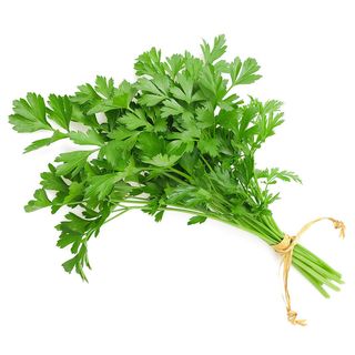 Coentros (molho 100g)