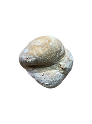 Pão De Cabeça (trigo) 400 G