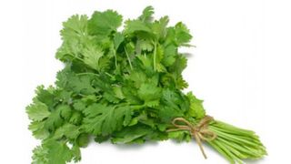 ქინძი 100გ