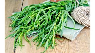 ტარხუნა 1კონა