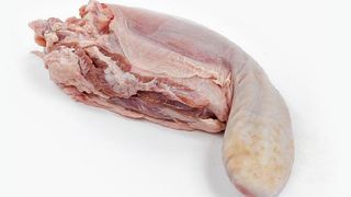 Საქონლის Ენა 1.2კგ