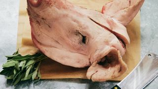 Ღორისთავ-ფეხი 8კგ