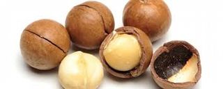 მაკადამია 0.100 კგ