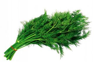 მწვანილი კამა 50 გრ.