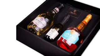Poklon paket u kutiji s uloškom 5