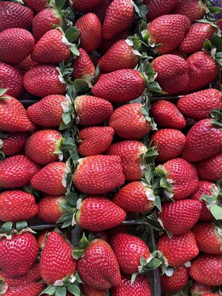 Jagode kutija 500g - 600g