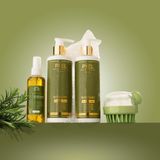 თმის მოვლის სრული ბოქსი