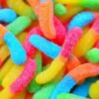 Minhocas - 100g