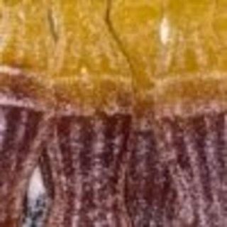 Coca Colas XL - 100g