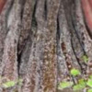 Maxi Releno Coca Cola Açúcar  - 100g