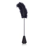 Latetobed: Ostrich Feather Tickler/lace Paddle Black (8436583793688)