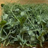 Ბარდა Გარნირებისთვის