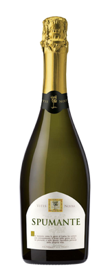 Vitis Nostra - Spumante Sparkling Brut 0.75 - Ვიტის Ნოსტრა - Სპუმანტე Ცქრიალა Ბრუტი 0.75