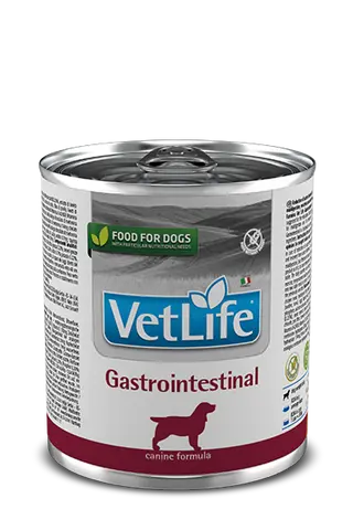 VET LIFE ძაღლი. სველი საკვები, გასტროინტესტინალი 0,300 კგ