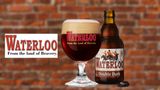 Waterloo Double Dark 0.33 L