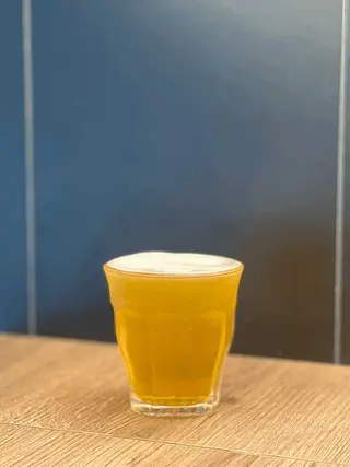 Triassic Ipa Ugmb 1l