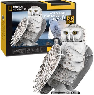Cubicfun - National Geographic - 3d ფაზლი , თეთრი ბუ - Ds1079h