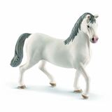 Schl Lipizzaner Stallion - 13887s