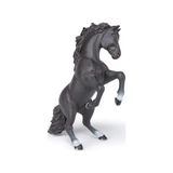 3465000515225 შავი ცხენი