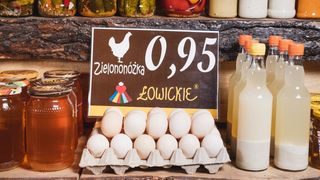 Jaja Łowickie Zielononóżka 20szt