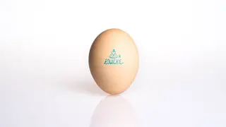Jaja Łowickie Gold Bio-eco 10szt